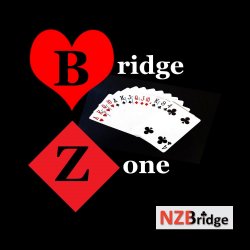 Bridge Zone Logo