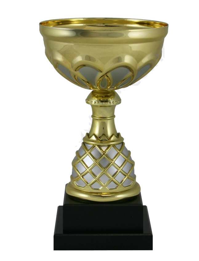 Venice Cup